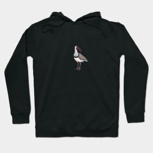 Ibisbill Hoodie